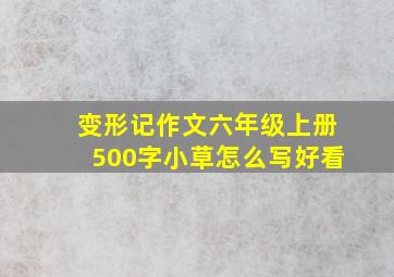 变形记作文六年级上册500字小草怎么写好看