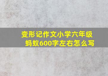 变形记作文小学六年级蚂蚁600字左右怎么写