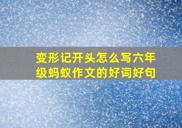 变形记开头怎么写六年级蚂蚁作文的好词好句