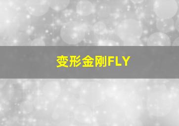 变形金刚FLY