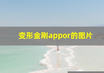 变形金刚appor的图片