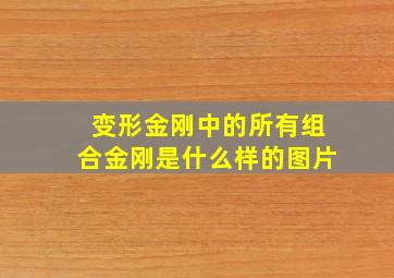 变形金刚中的所有组合金刚是什么样的图片