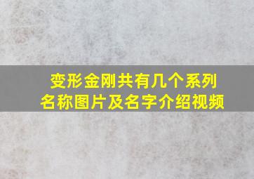 变形金刚共有几个系列名称图片及名字介绍视频