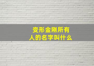 变形金刚所有人的名字叫什么