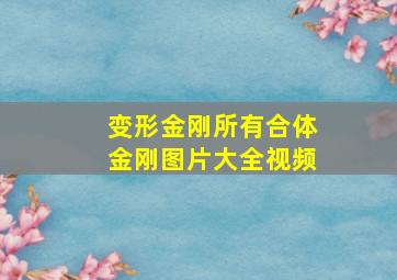 变形金刚所有合体金刚图片大全视频