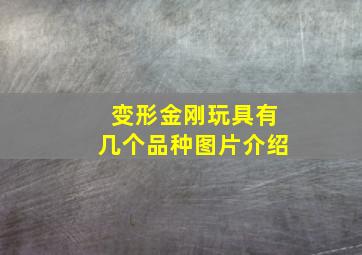 变形金刚玩具有几个品种图片介绍