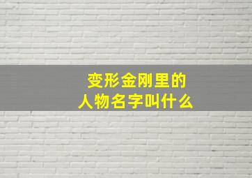 变形金刚里的人物名字叫什么