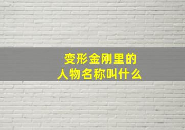 变形金刚里的人物名称叫什么