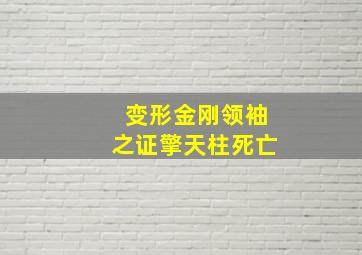 变形金刚领袖之证擎天柱死亡