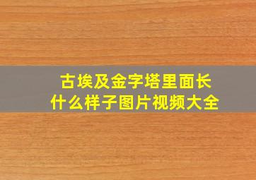 古埃及金字塔里面长什么样子图片视频大全