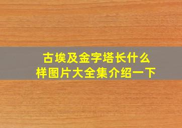 古埃及金字塔长什么样图片大全集介绍一下