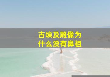 古埃及雕像为什么没有鼻祖