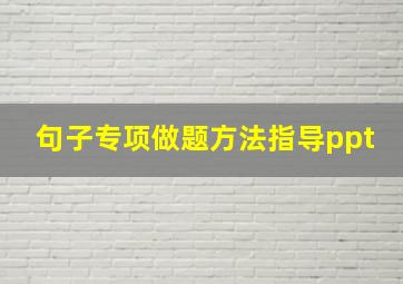 句子专项做题方法指导ppt