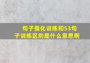 句子强化训练和53句子训练区别是什么意思啊