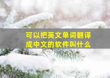 可以把英文单词翻译成中文的软件叫什么