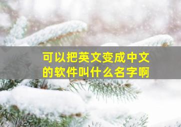 可以把英文变成中文的软件叫什么名字啊