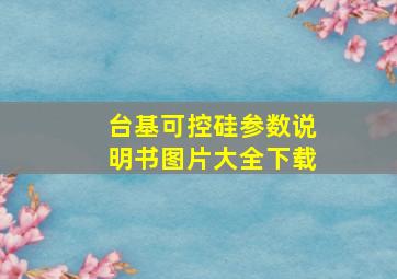 台基可控硅参数说明书图片大全下载