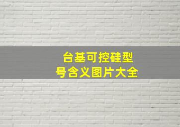 台基可控硅型号含义图片大全