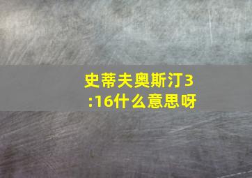 史蒂夫奥斯汀3:16什么意思呀