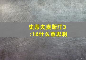 史蒂夫奥斯汀3:16什么意思啊