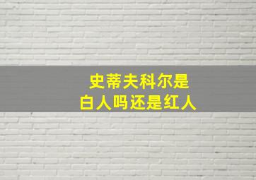 史蒂夫科尔是白人吗还是红人