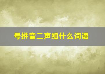 号拼音二声组什么词语