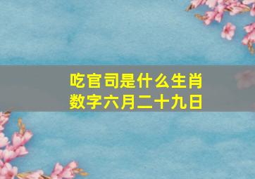 吃官司是什么生肖数字六月二十九日