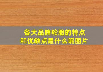 各大品牌轮胎的特点和优缺点是什么呢图片