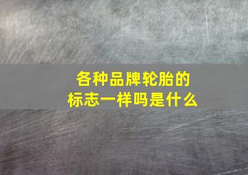 各种品牌轮胎的标志一样吗是什么