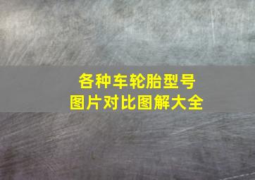 各种车轮胎型号图片对比图解大全