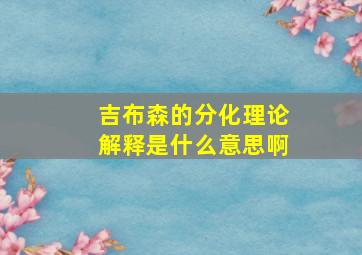 吉布森的分化理论解释是什么意思啊