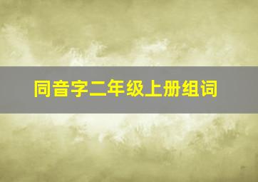 同音字二年级上册组词