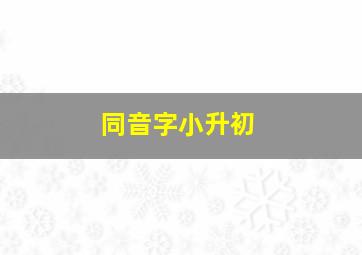 同音字小升初