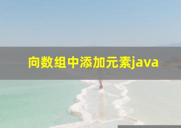 向数组中添加元素java