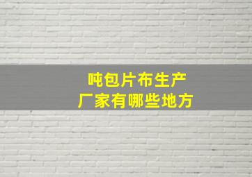 吨包片布生产厂家有哪些地方