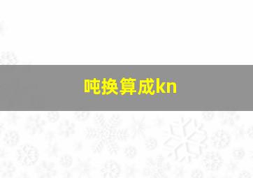 吨换算成kn