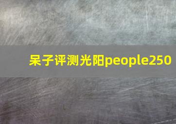 呆子评测光阳people250