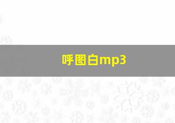 呼图白mp3