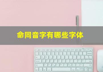 命同音字有哪些字体