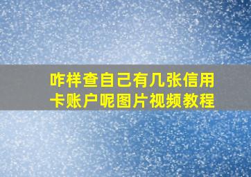 咋样查自己有几张信用卡账户呢图片视频教程