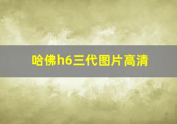 哈佛h6三代图片高清