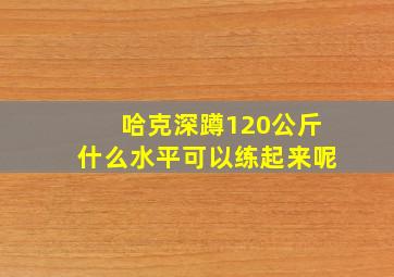 哈克深蹲120公斤什么水平可以练起来呢