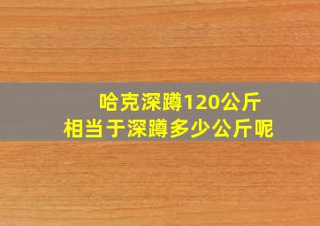 哈克深蹲120公斤相当于深蹲多少公斤呢