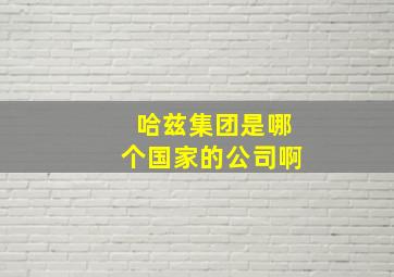 哈兹集团是哪个国家的公司啊