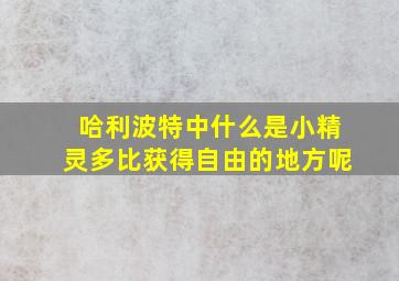 哈利波特中什么是小精灵多比获得自由的地方呢