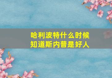 哈利波特什么时候知道斯内普是好人