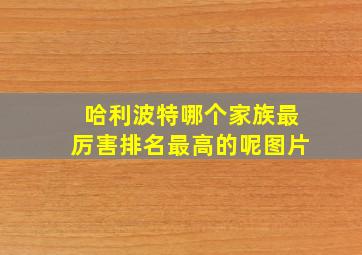 哈利波特哪个家族最厉害排名最高的呢图片