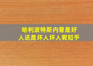 哈利波特斯内普是好人还是坏人坏人呢知乎