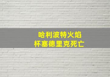 哈利波特火焰杯塞德里克死亡