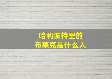 哈利波特里的布莱克是什么人